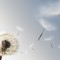 Fotolia_7095311_XS